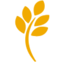 Logo FAKTOR-OPTIONSSCHEIN AUF ARYZTA
