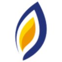 Logo La Francaise de L'Energie