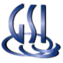 Logo GSI Technology