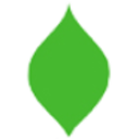 Logo BOYLE BANCORP. CDT-CAP