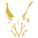 Logo CARACAL GOLD PLC LS-,001