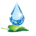 Logo ECO SAFE SYS USA DL-,01