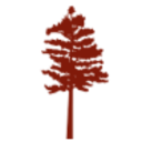 Logo REDWO.FIN.INC.MINN DL-,10