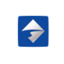 Logo Bank of Shanghai