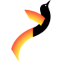 Logo New Guinea Energy