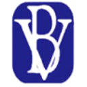 Logo BV FINANCIAL INC. NEW