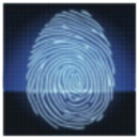 Logo HOLOCO INC. NEW DL-,01