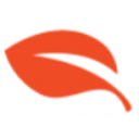 Logo DSWISS INC. DL-,0001