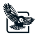 Logo STRIX GROUP PLC LS -,01