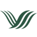 Logo YASHENG GROUP DL-,01