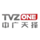 Logo TVZONE MEDIA A YC1