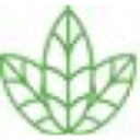 Logo HEMP NATU