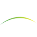 Logo Piedmont Lithium (ADR)