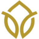 Logo Ayurcann Holdings