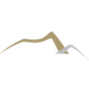 Logo Hycroft Mining Holding