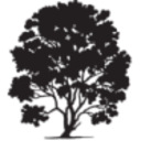 Logo HLS Therapeutics