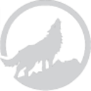 Logo SILVER WOLF EXPLORATION