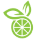 Logo GP SOLUTIONS INC. DL-,001