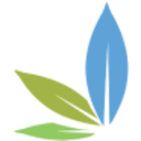 Logo Flower One Holdings