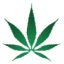 Logo MJARDIN GROUP INC.