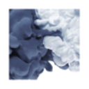 Logo BAIKOWSKI SAS EO 1,25