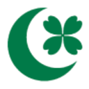 Logo GREENTOWN CHINA