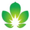 Logo SINOPHARM TECH HLDGS