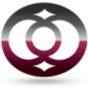 Logo OMNI FINANCIAL SVCS DL 1