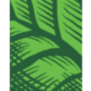 Logo WHOLE EARTH BR.A DL-,0001