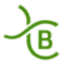 Logo BIOMAGNETICS DIAGN. DL-01