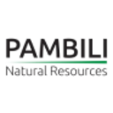 Logo Pambili Natural Resources