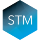 Logo STM GROUP PLC LS -,01