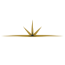 Logo NORTHSTAR GOLD CORP.