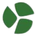 Logo DINE SA DE CV MN-,062