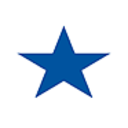 Logo Blue Star Foods