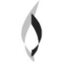 Logo BPI ENERGY HOLDINGS INC.