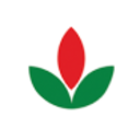 Logo BISI INTERNATIONAL