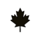 Logo ECONOMIC INVT TR. UTS