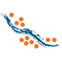 Logo LARAMIDE RESOURCES