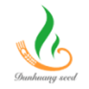 Logo GANSU DUNHUANG S.GR.A YC1