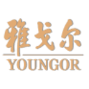 Logo Youngor Group