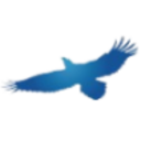 Logo Shanying International