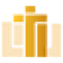 Logo XCORPOREAL INC. DL-,01