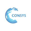 Logo SHEN CONS