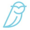 Logo BLUE OWL CAPITAL A