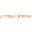 Logo Pineapple Power