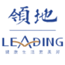 Logo LEADING HOLDINGS DL-,01