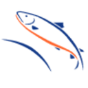 Logo NORDIC AQUA PARTERS NK 1