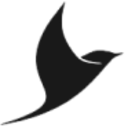 Logo BLACKBIRD
