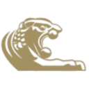 Logo Lydian International